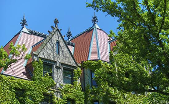 Quad in Summer