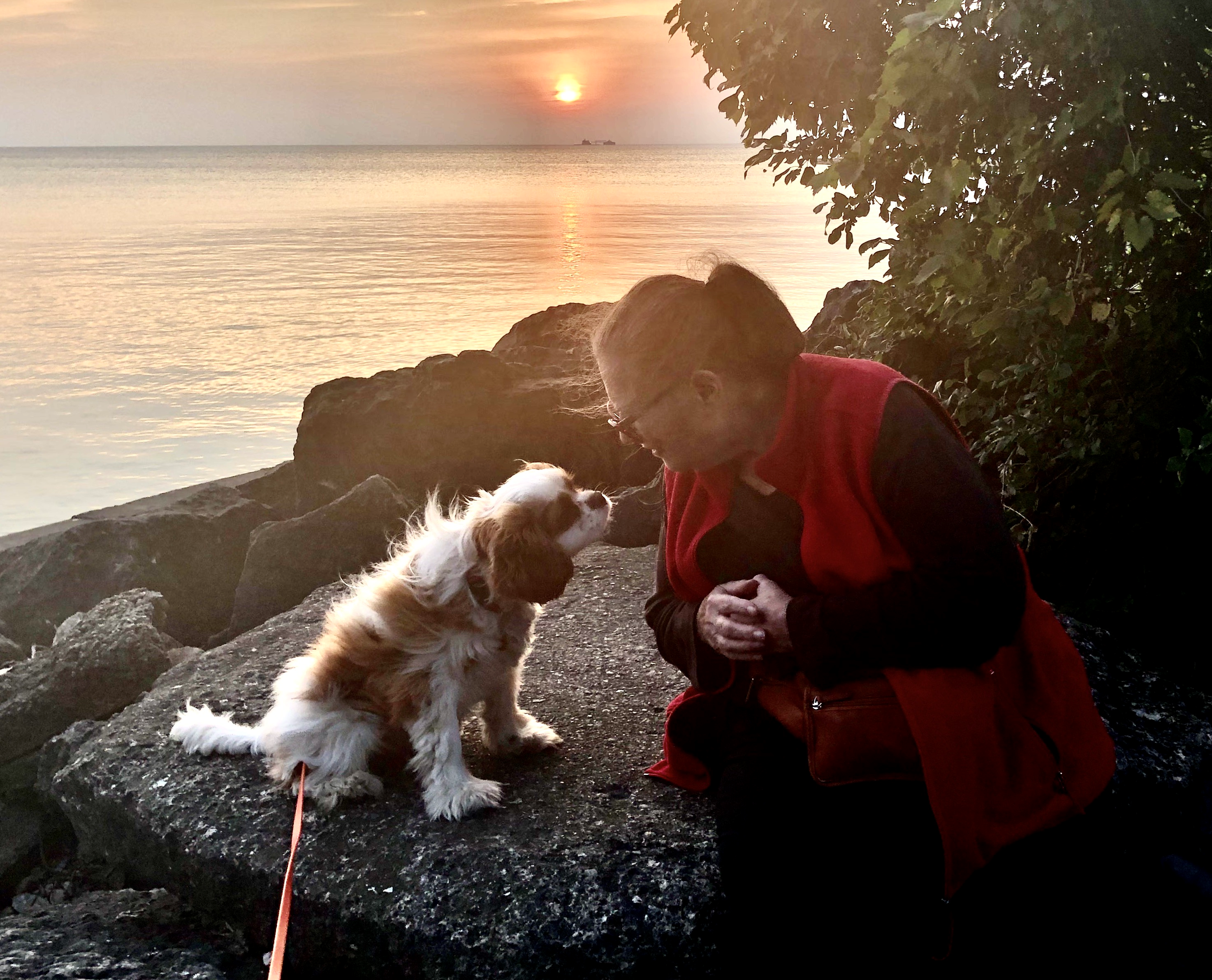 Photo of Wendy Doniger with a dog